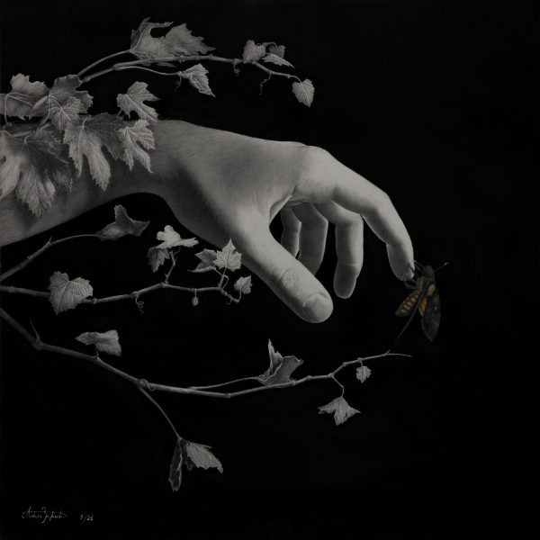"Crisalide" - Painting