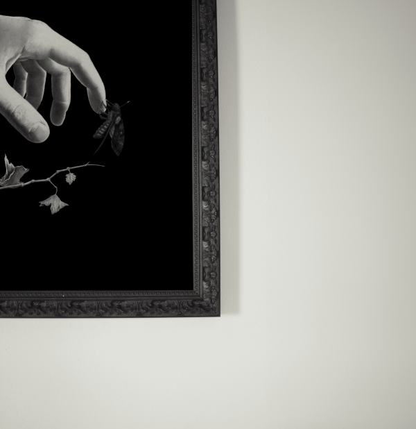 "Crisalide" - Painting - Image 3
